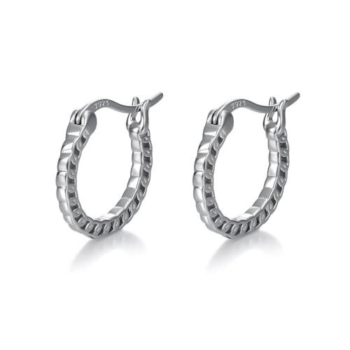 925 Sterling Silver Hollow Hoop Earrings for Women, Simple and Retro Style, Jewelry Gifts for Valentine's Day, Mother's Day, And Birthdays - style: Style 1