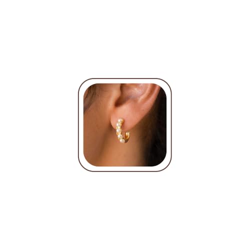 Robaice Chunky Huggie Earring for Women，14K Gold Plated Hoop Earrings | Gold Huggie 925 Sterling Silver Post Earrings, Statement Trendy Hoop Earring，Fashion Lightweight Jewelry Gifts for Women - color: Gold-B