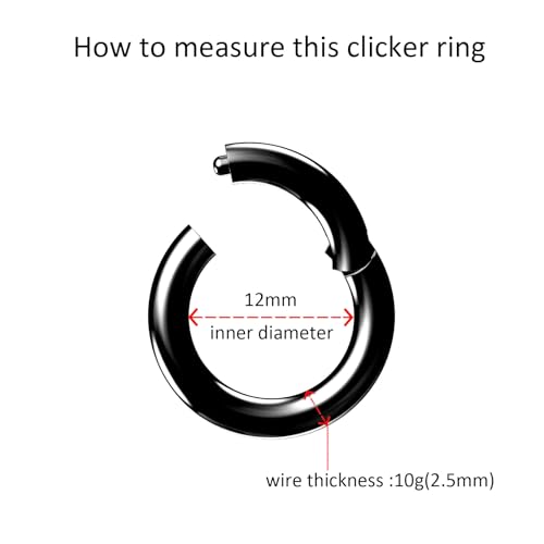 4G/6G/8G/10G/12G/14G/16G/18G/20G Hypoallergenic Nose Hoop Rings Steel Hinged Clicker Segment Gold/Rose Gold/Black/Pink Color - style: 1pc: 10g×12mm Black