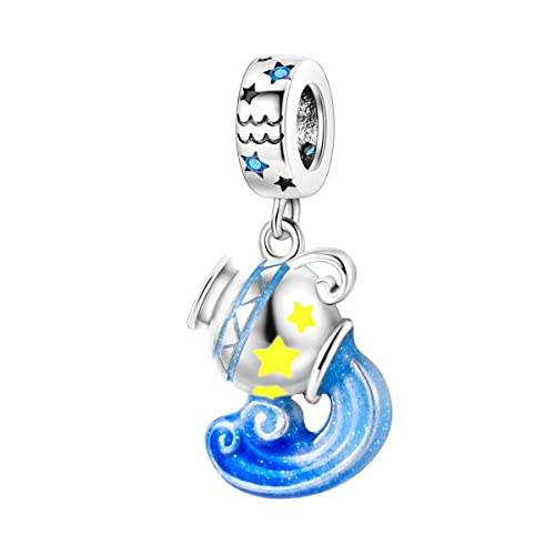 Zodiac Sign Charms for Bracelet Necklace 925 Sterling Silver Charms 12 Constellation/Horoscope Star Dangle Birthstone Beads, Birthday Jewelry Gifts for Women Men - color: Zodiac Aquarius(1.20～2.18)