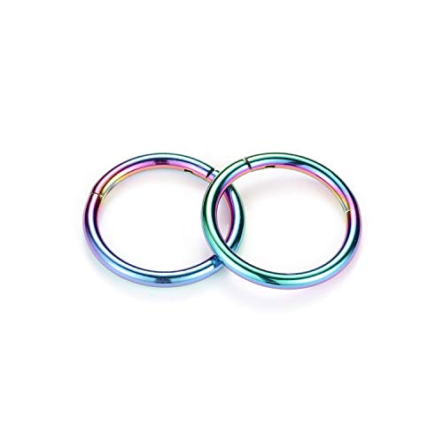 GAGABODY 2 Pcs Nose Rings 22G 20G 18G 16G 14G 12G 10G 8G Surgical Steel Piercing Rings for Nose Septum Cartilage Helix Tragus Conch Rook Daith Lobe from 5mm to 16mm Seamless Hoop Unisex Hinged Earrings - color: Rainbow