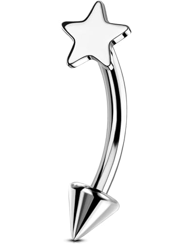 OUFER Rook Piercing Jewelry, G23 Solid Titanium Eyebrow Rings, Heart Vertical Labret Lip Jewelry, 16G Curved Barbells, Daith Rook Earrings for Women Men - color: Silver Star, size: 16G 8mm