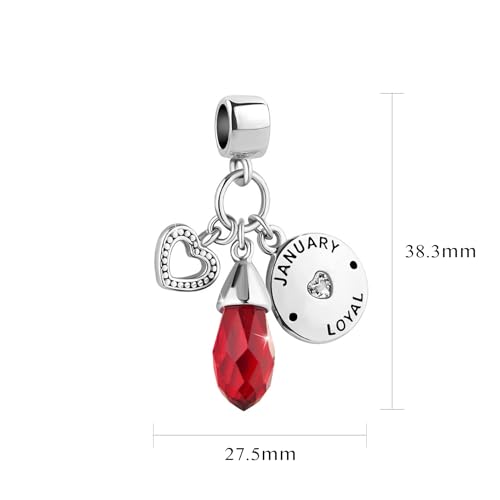 Women Charm for Bracelets Love Heart Dangle Silver Clear CZ Beads Birthstone Bracelet Charms for Daughter Women Wife, Blue Pink Clear - style: JANUARY