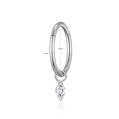 Ourania 16G Gold Stainless Steel Zircon Dangle Huggie Hoop Rook Piercing Helix Hoop Earring Tragus Hoop Cartilage Piercing for Women - color: Eyes Silver 2PCS, size: 1.2*10mm 2pcs