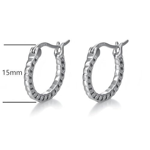 925 Sterling Silver Hollow Hoop Earrings for Women, Simple and Retro Style, Jewelry Gifts for Valentine's Day, Mother's Day, And Birthdays - style: Style 1
