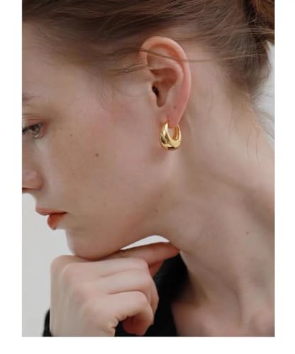 2 Pairs Gold/Silver Hoop Earrings For Women Set Trendy,14K Plated Gold Chunky Huggie Hoop Earings Pack,Oval Twisted Statement Silver Hoops,Fashion Jewelry Gift - color: 17) small chunky oval hoops