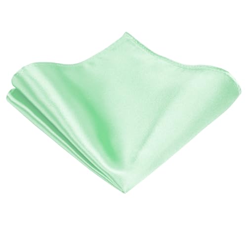 TIE G Solid Satin Woven dyed Color Formal Black Necktie and Pocket Square Sets in Gift Box - color: Mint