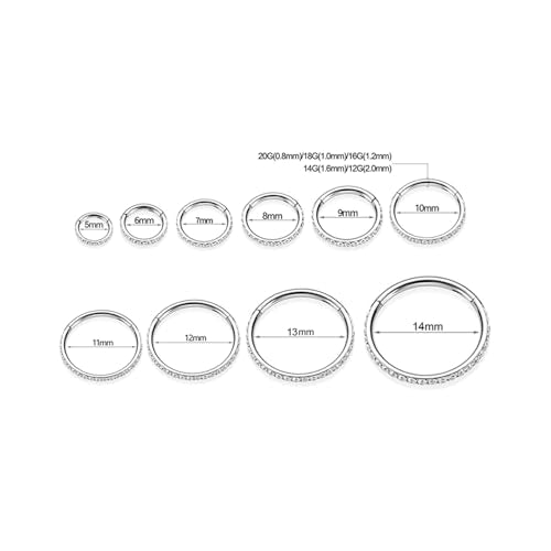 GAGABODY Surgical Steel Hypoallergenic Nose Ring Earring CZ Hoop for Unisex | Hinged Seamless Clasp,Used in Nostril,Septum,Lip,Eyebrow,Nipple and All Ear Piercings.22G to 12G,Inner Diameter 5mm to 14mm - color: Style1:Silver+Clear CZ, size: 12G-10mm