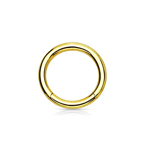 Forbidden Body Jewelry 316L Surgical Steel Hinged Seamless Nose Rings Hoop 14G 16G 18G, Diameter 6mm 8mm 10mm 12mm, Gold/Rose Gold/Silver/Black/Rainbow Colors. - style: 14g 6mm - Gold