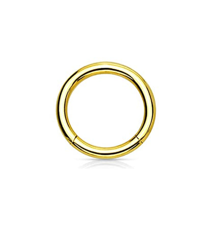 Forbidden Body Jewelry 316L Surgical Steel Hinged Seamless Nose Rings Hoop 14G 16G 18G, Diameter 6mm 8mm 10mm 12mm, Gold/Rose Gold/Silver/Black/Rainbow Colors. - style: 14g 6mm - Gold