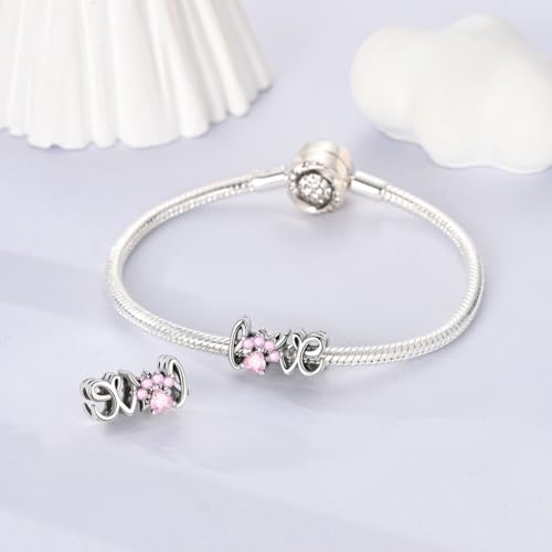 Hapour 925 Sterling Silver Charm for Bracelet Necklace Women Pendant Beads | Virgin Mary Charm, Religious Cross Heart Dragon European Jewelry Mom Charm - color: Pink Paw LOVE