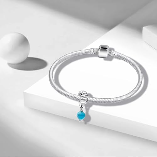Charms Beads 925 Sterling Silver Animal Heart Flower Friend Dangle Pendant with 5A Cubic fits for Charms Bracelets for Woman Valentine's Day Mother's Day Christmas Graduation Birthday Gift - style: E06-Blue Round Stone