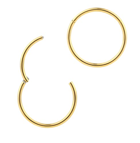 365 Sleepers 2Pcs G23 Titanium 18G (Standard Fit) Hinged Segment Ring Hoop – Implant Grade Nickel Free Septum Nose Lip Helix Tragus Earring Body Piercing Jewelry, 6mm- 13mm - style: 10mm Yellow