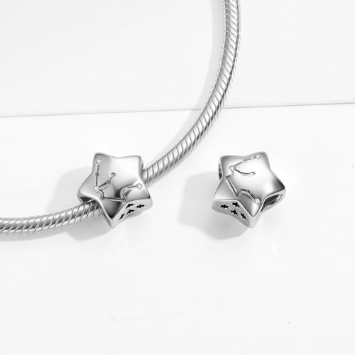 Constellation Charm 925 Sterling Silver Birthstone Bead for Pandora Charms Bracelet-Gift for Anniversary Birthday Christmas Day - color: Aquarius A