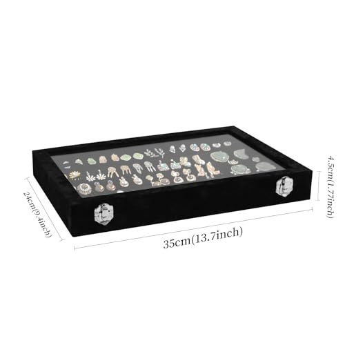 Wudygirl Earring Organizer Tray Jewelry Organizer 32 Pairs Earring Box Organizer Black Velvet Jewelry Display Case with Transparent Lid(Black Earring Storage) | 32 Pairs Jewelry Organizer for Earrings, Perfect for Home Organization, Jewelry Display, Gift