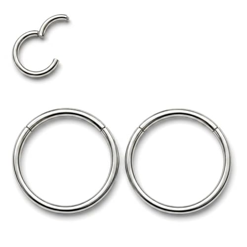 AMASIS Nose Rings and Nose Studs Set, Stainless Steel Hinged Nose Hoops and CZ Studs, Select Sizes and Styles for Nostril Septum Cartilage Piercing Jewelry - color: Silver, size: 2-Piece Hoops,20Gauge,9mm