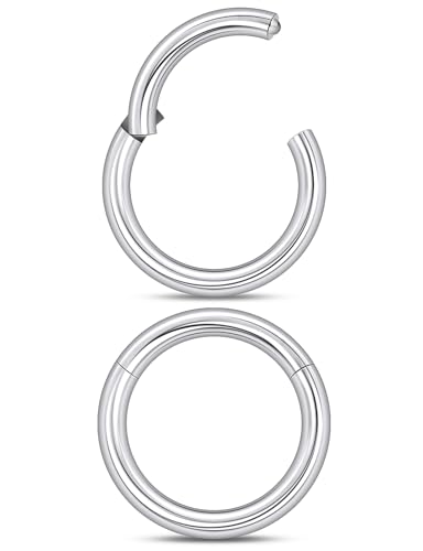 20G-2G Hinged Clicker Septum Nose Rings Hoops 316L Surgical Steel Segment Septum Lip Nipple Ring Cartilage Tragus Helix Sleeper Earrings Piercing Jewelry for Women Men 6mm-19mm - style: 14G(1.6mm)-Dia:11mm