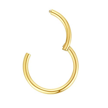 ORANGELOVE Hypoallergenic Nose Rings 20G 18G 16G 14G 12G 10G 8G 316l Surgical Steel Septum Jewelry Hinged Segment Ring Body Piercing Nose Hoop Lip Rings Nose Helix Cartilage Rook Earrings - color: Gold, size: 1pc 14 Gauge 9mm