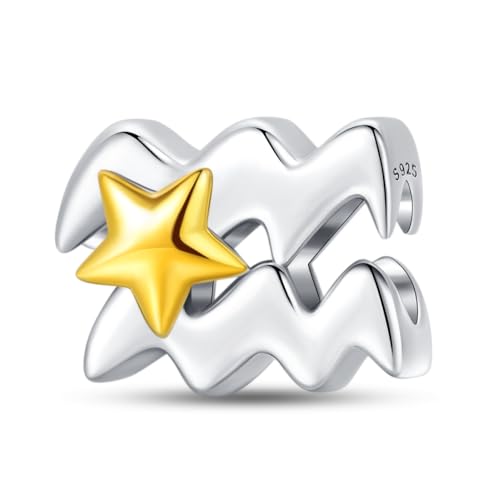 925 Sterling Silver 12 Astrological Signs Charm for Bracelets and Necklace Happy Birthday Charms for Bracelet and Necklace Valentine's Day Mother's Day Gift - style: Aquarius Charm