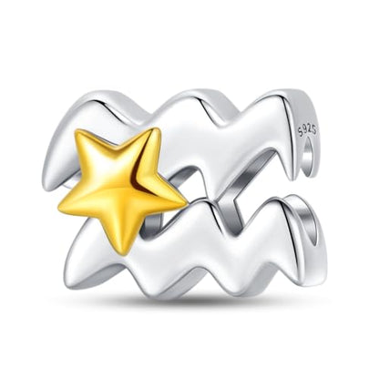 925 Sterling Silver 12 Astrological Signs Charm for Bracelets and Necklace Happy Birthday Charms for Bracelet and Necklace Valentine's Day Mother's Day Gift - style: Aquarius Charm