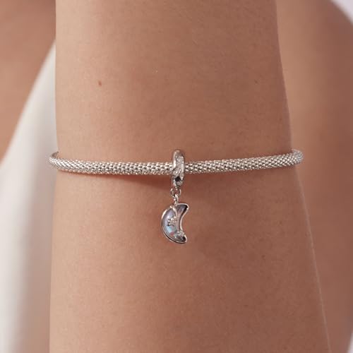 Animal Charms for Bracelets 925 Sterling Silver Bead Charms Bee Butterfly Fox Charm Fits Bracelets and Necklaces Cute Charms for Women - color: Moonlight Shooting Star