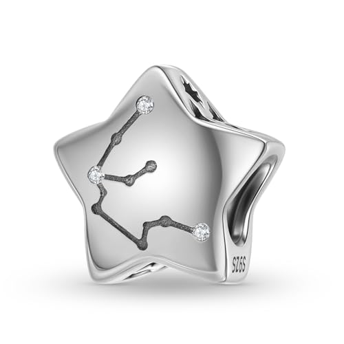 Constellation Charm 925 Sterling Silver Birthstone Bead for Pandora Charms Bracelet-Gift for Anniversary Birthday Christmas Day - color: Aquarius A