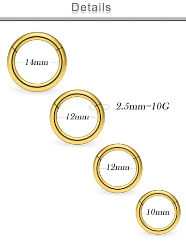20G 18G 16G 14G 12G 10G Surgical Steel Hinged Clicker Segment Nose Rings Hoop Lip Rings Helix Cartilage Daith Tragus Sleeper Earrings Body Piercing for Women Men 6mm 8mm 10mm 12mm 14mm 16mm - color: Gold-10G（2.5mm)-Inner Diameter: 10mm 12mm 14mm 16mm