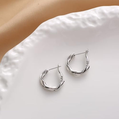 14k Gold Plated Hoop Earrings for Women, 925 Sterling Silver Posts Thick Twist Hypoallergenic Chunky Large Earrings 20mm 30mm 40mm 50mm - color: silver, size: 20mm