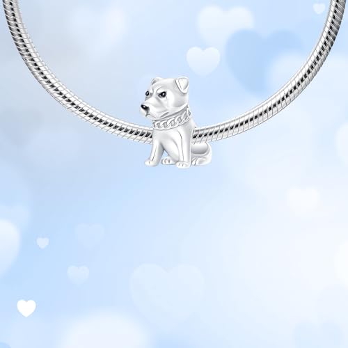 925 Sterling Silver Charms fits Bracelets and Necklace Pendant Bead Charms Jewelry Gift for Women Family Friends - style: Dog Charm