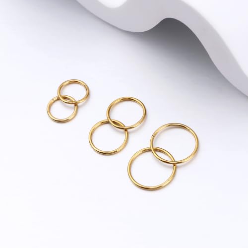 Nose Rings 20G 18G 16G 316L Surgical Steel Hinged Clicker Segment Nose Hoop Helix Cartilage Daith Tragus Sleeper Earrings Body Lip Piercing Jewelry for Women Men 6mm 7mm 8mm 10mm 12mm - style: 14:Silver+Gold-20G*7mm(4pcs)