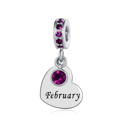 NARTGO January-December Birthstone Birthday Charm Heart Dangle Beads Jewelry Gift for Women Compatible with Pandora Bracelets & Necklaces - style: February Birthstone