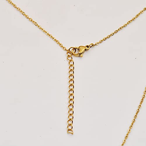 HUAN XUN Custom Name Necklace for Women Stainless Steel Customized Jewelry | 18k Gold Plated Nameplate Heart Pendant,Adjustable Delicate Chain,Personalized Gifts for Mother Day Christmas Birthday - color: Amira - Gold