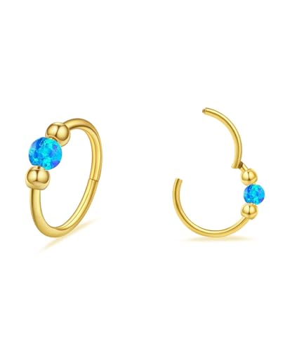2 Pcs Small Cartilage Hoop Earrings for Women Men, 18G Opal Silver Earrings Hypoallergenic 316L Surgical Steel Hinge Huggie Hoop Earrings for Helix,Tragus,Conch,Rook,Earlobe Piercing Jewelry Nose Ring - style: 1Pc8mm+1Pc10mm Blue Opal/Gold