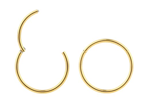 365 Sleepers 2Pcs G23 Titanium 18G (Standard Fit) Hinged Segment Ring Hoop – Implant Grade Nickel Free Septum Nose Lip Helix Tragus Earring Body Piercing Jewelry, 6mm- 13mm - style: 10mm Yellow