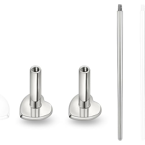 limerencia 16G/18G Hypoallergenic Internal Threaded Titanium Bar Post Replacement,Flat Back Stud Earrings Post Medusa Helix Couch Labret Bar for Women Men Sensitive Ears(A Pair) - color: silver heart, size: 16G-6mm