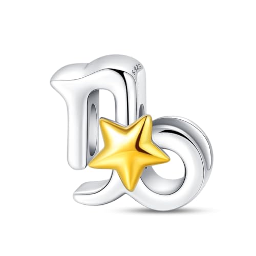 925 Sterling Silver 12 Astrological Signs Charm for Bracelets and Necklace Happy Birthday Charms for Bracelet and Necklace Valentine's Day Mother's Day Gift - style: Capricornus Charm