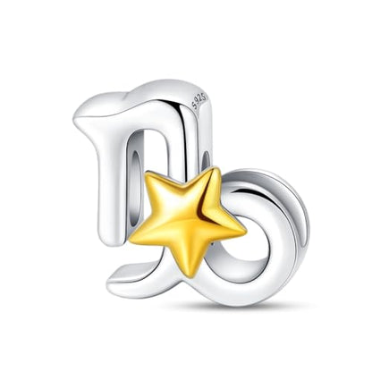925 Sterling Silver 12 Astrological Signs Charm for Bracelets and Necklace Happy Birthday Charms for Bracelet and Necklace Valentine's Day Mother's Day Gift - style: Capricornus Charm