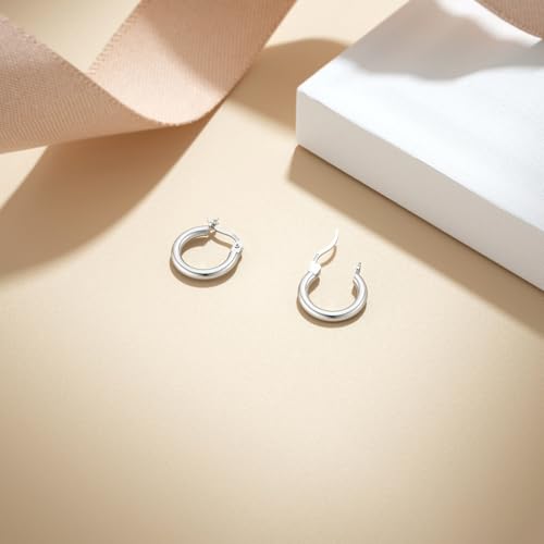 JIAYIQI Sterling Silver Hoop Earrings 18K White Gold Plated Silver Circle Endless Earrings Hoops Jewelry Lightweight Hoop Earring for Women Diameter 10,14,16,18,20,25,30,35,40,50,60mm - style: Silver-10mm