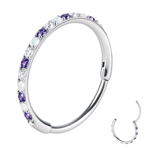 20/16G CZ Hinged Nose Rings Hoop, 316L Surgical Stainless Steel Cartilage Earring, Septum Clicker Ring, Daith Helix Rook Tragus Conch Lip Lobe Piercing Jewelry - color: A Silver Ring with Coloful CZ 02, size: 1pc 20 Gauge 8mm