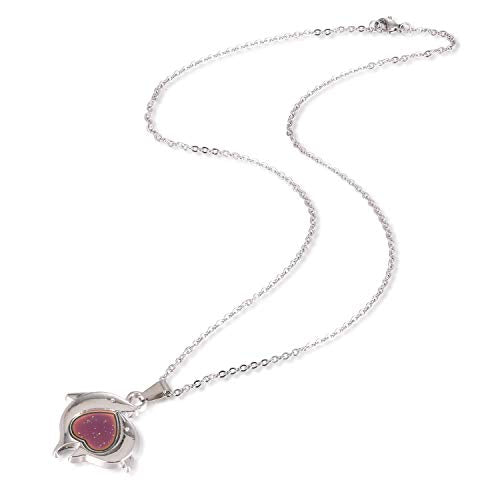 FM FM42 Temperature Sensing Color Changing Pendant Necklace with 19.29" Stainless Steel Rolo Chain - color: Dolphin