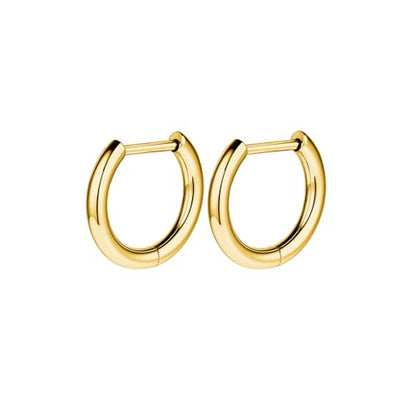 AOEDEJ G23 Titanium Black/Steel Gray/Gold Hoop Earrings 18G Small Huggie Hoop Earrings 8mm/10mm/12mm Cartilage for Sensitive Ears for Multiple Piercing Cartilage Hoop Earring Stack Jewelry - style: D-GD-8mm