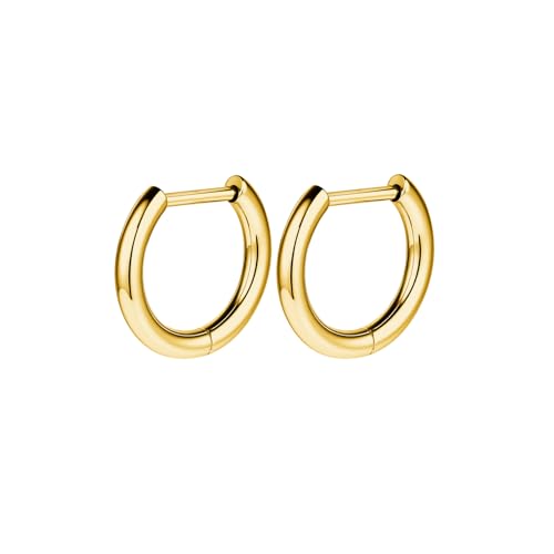 AOEDEJ G23 Titanium Black/Steel Gray/Gold Hoop Earrings 18G Small Huggie Hoop Earrings 8mm/10mm/12mm Cartilage for Sensitive Ears for Multiple Piercing Cartilage Hoop Earring Stack Jewelry - style: D-GD-8mm