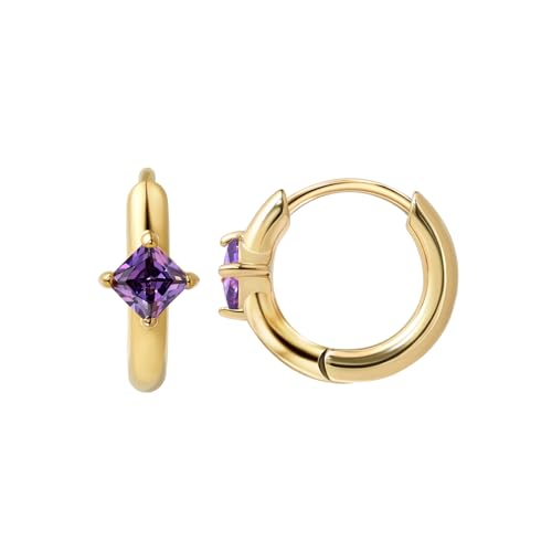 316L Surgical Steel Birthstone Hoop Earrings for Women | Lightweight, 5A Cubic Zirconia, Hypoallergenic, Lead & Nickel Free, 8mm Huggie Hoops - color: 18k gold-plated: 02. February (Amethyst)