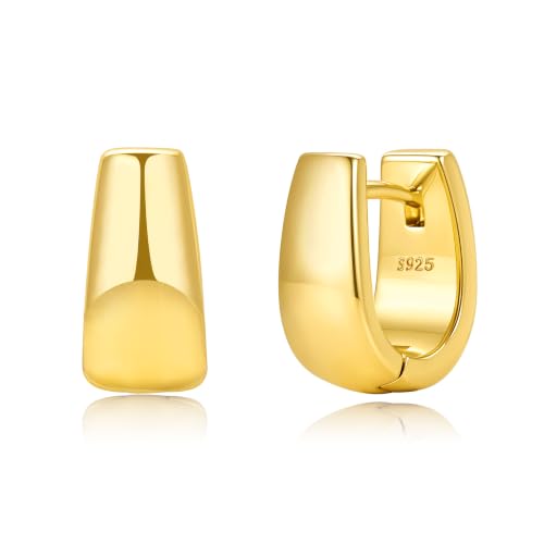 Small Chunky Hoop Earrings for Women Gold Huggie Earrings | 14K Gold Plated Non Tarnish, Hypoallergenic 925 Silver Post, Small Thick Huggie Hoop Earrings, Lightweight Small Hoops - color: Gold, size: 10mm(small)