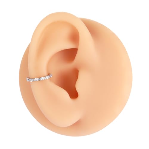 PEAKLINK 16G Nose Hoop Ring 316L Surgical Steel Conch Cartilage Helix Earring with Cubic Zircon Tragus Rook Daith Septum Piercing Jewelry 8mm 10mm for Women Men - color: Style2:Silver-Horse Eye CZ