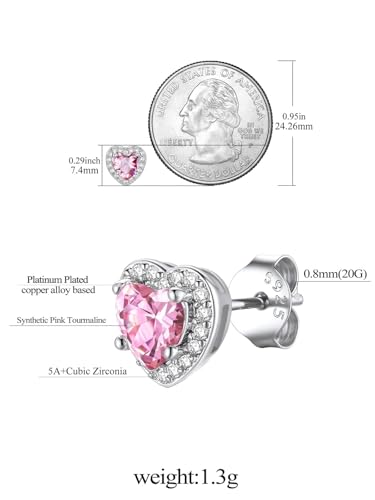 FindChic Birthstone Earrings for Women, Round/Heart/Square/Teardrop Earrings with 925 Sterling Silver Posts & Push Backs, Hypoallergenic Studs with Cubic Zirconia, 12 Months Jewelry with Gift Box - style: 10. October-Pink Tourmaline (Heart-Silver)