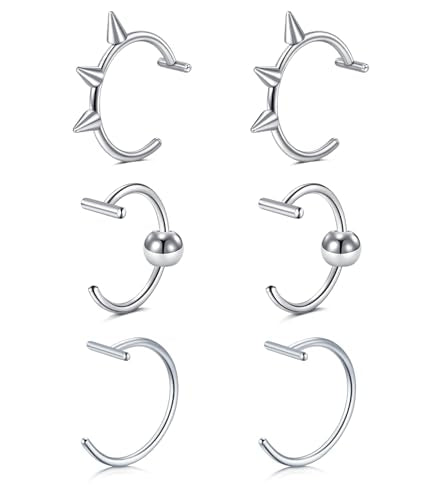 QWALIT Fake Nose Ring Fake Lip Piercing Fake Lip Ring Fake Nose Ring Hoop Fake Snake Bites Fake Lip Piercings Faux Lip Rings Fake Nose Piercing Clip on Nose Ring Spring - color: D5-3 styles-silver
