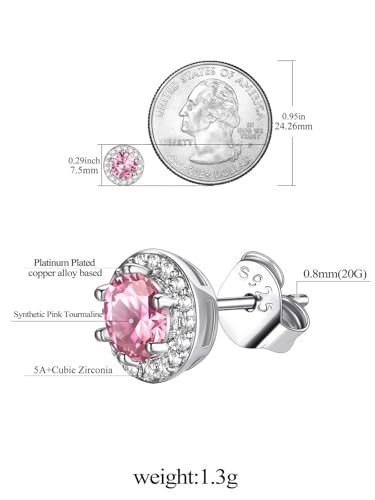 FindChic Birthstone Earrings for Women, Round/Heart/Square/Teardrop Earrings with 925 Sterling Silver Posts & Push Backs, Hypoallergenic Studs with Cubic Zirconia, 12 Months Jewelry with Gift Box - style: 10. October-Pink Tourmaline (Round)