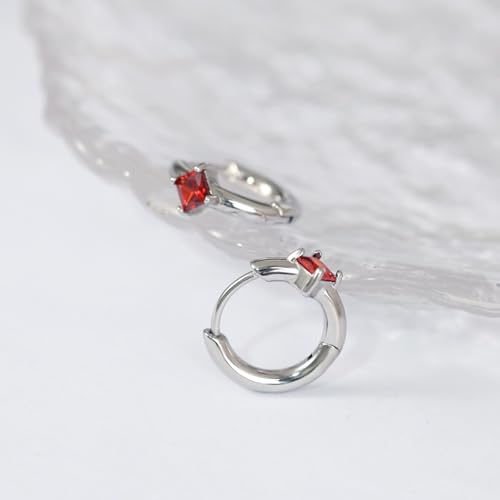 316L Surgical Steel Birthstone Hoop Earrings for Women | Lightweight, 5A Cubic Zirconia, Hypoallergenic, Lead & Nickel Free, 8mm Huggie Hoops - color: Silver: 01. January (Garnet)