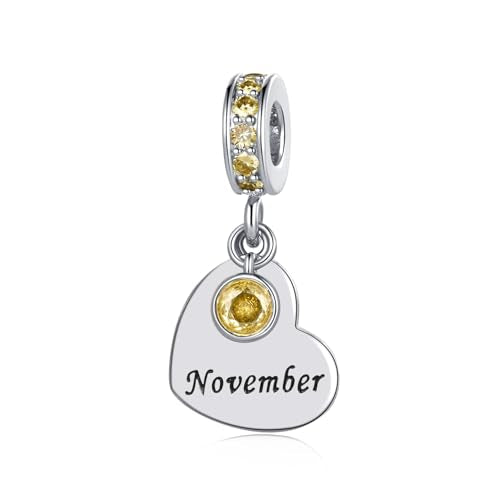 NARTGO January-December Birthstone Birthday Charm Heart Dangle Beads Jewelry Gift for Women Compatible with Pandora Bracelets & Necklaces - style: November Birthstone